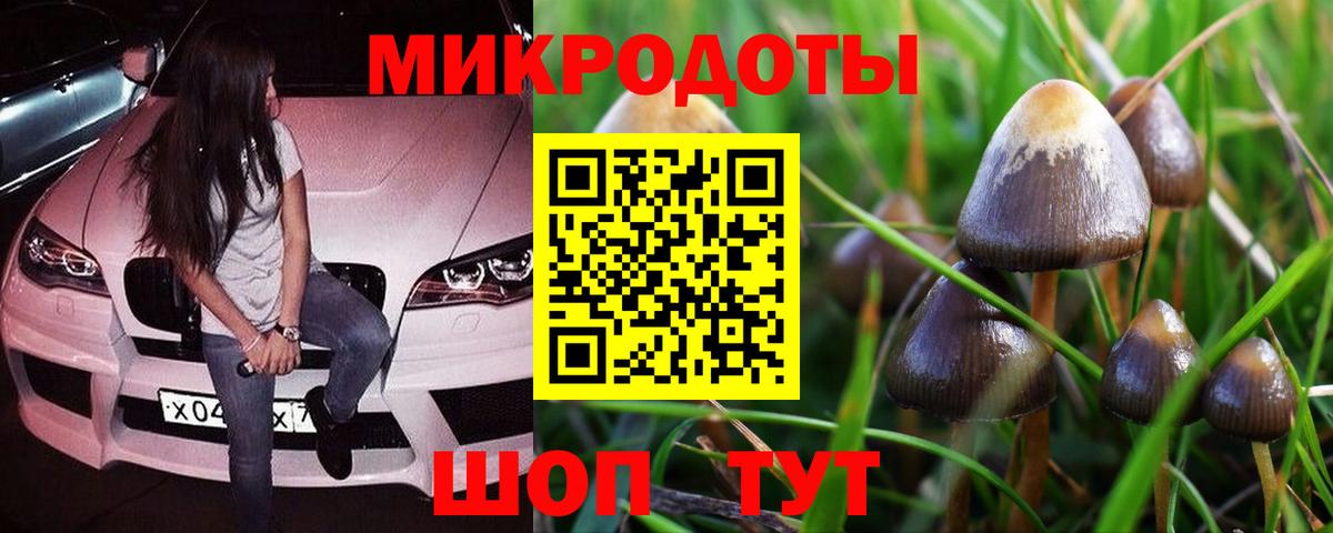 Псилоцибиновые грибы Magic Shrooms Майкоп