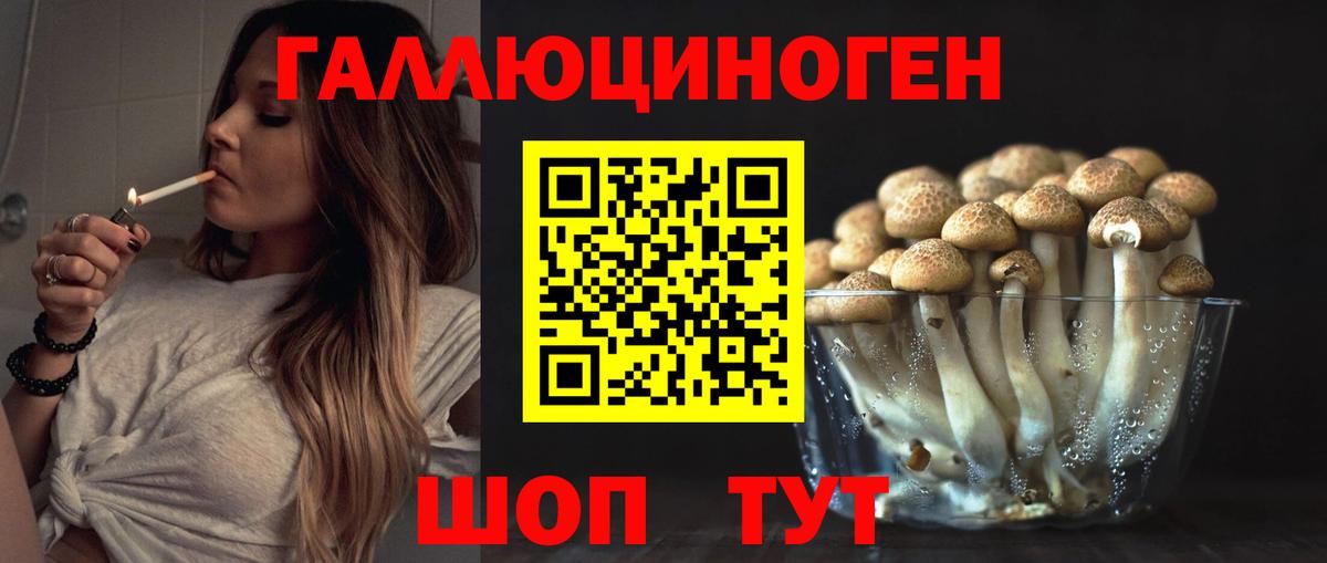 Майкоп  Галлюциногенные грибы прущие грибы  Вход с VPN 